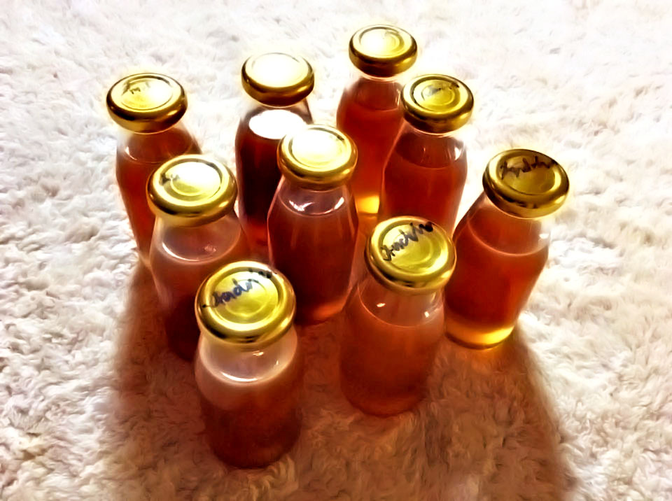 madu kelulut E